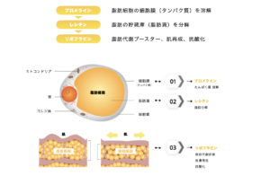 レモンボトル