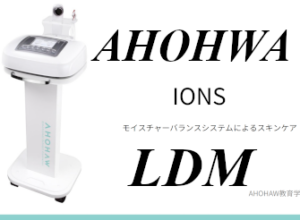 LDM