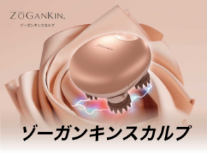 ゾーガンキンスカルプ