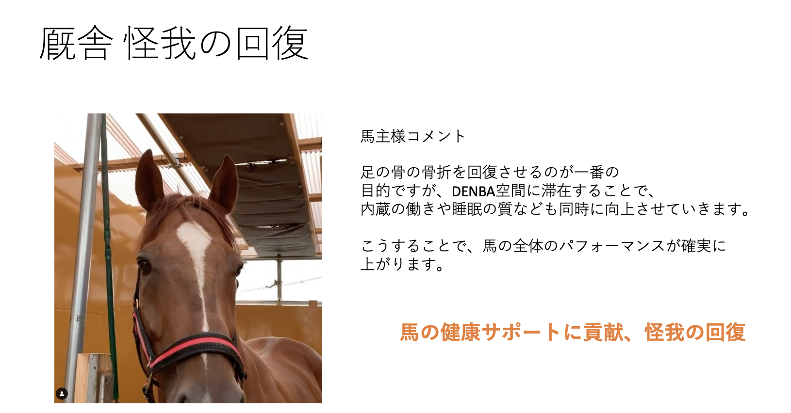 DENBA