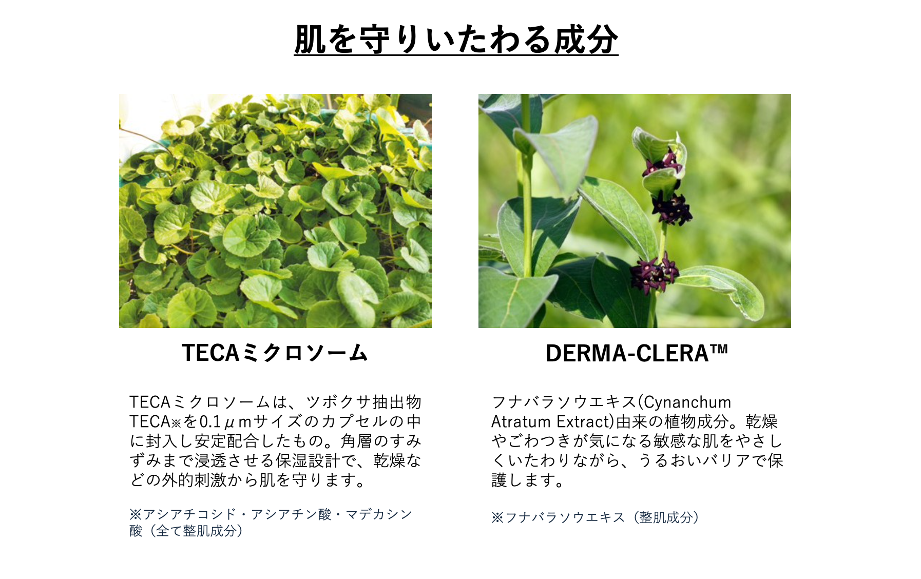 バイアルマスク の主成分（肌を守りいたわる成分）