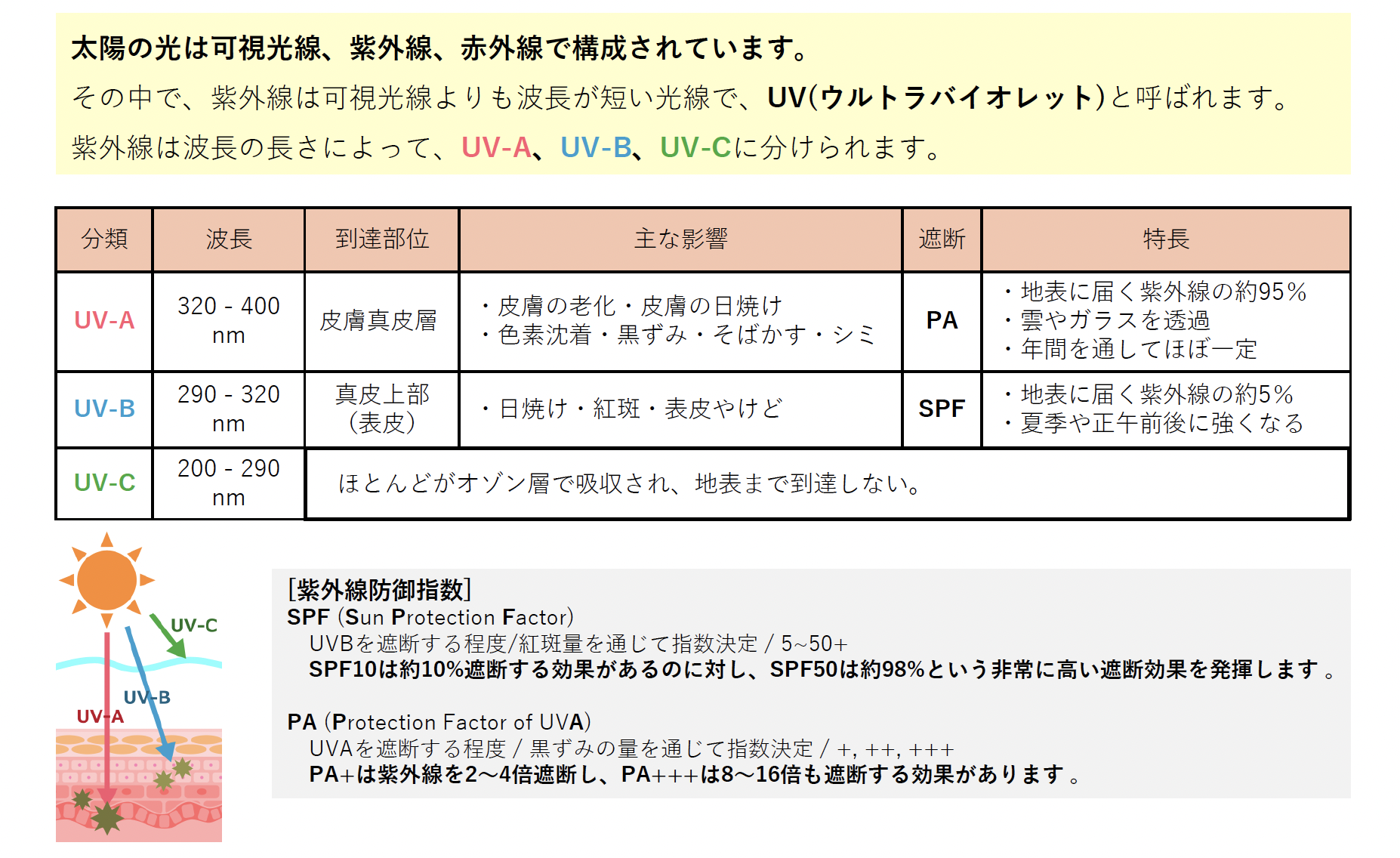 サンセラムの紫外線対策