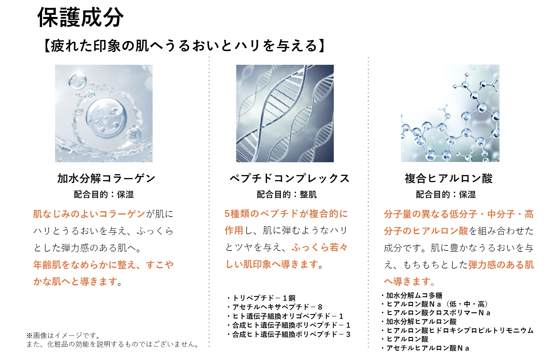 サンセラム の主要成分３