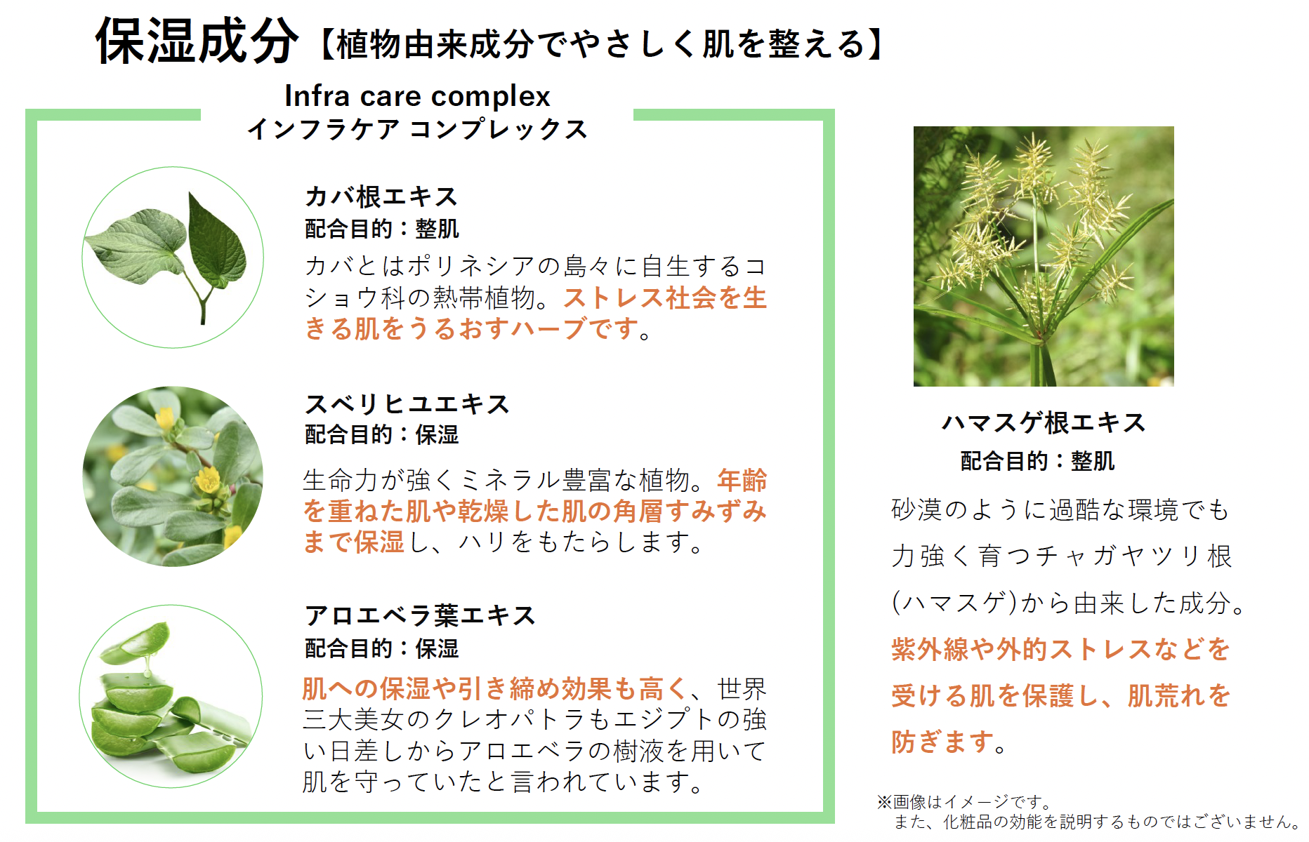 サンセラム の主成分４