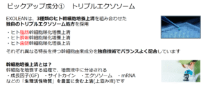 エクソリーン