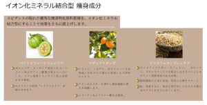 エクソリーン