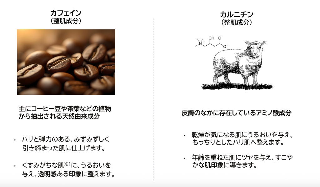 AMクリーム　特徴