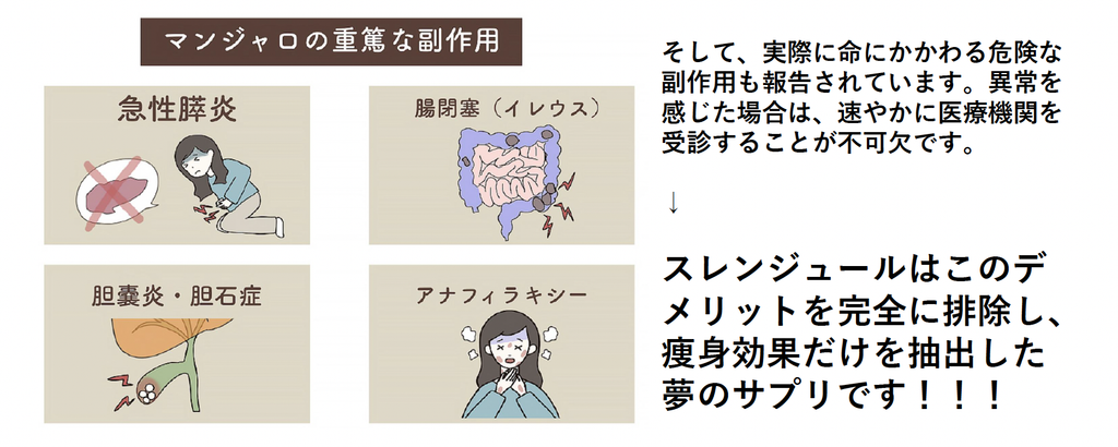 スレンジュール　特徴2
