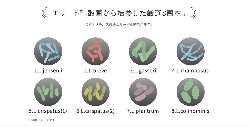 タントリュクス　ラボオイル　特徴2